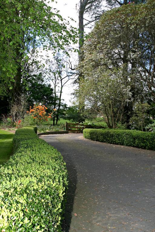 Oak Lane Lodge Hamilton Ngoại thất bức ảnh